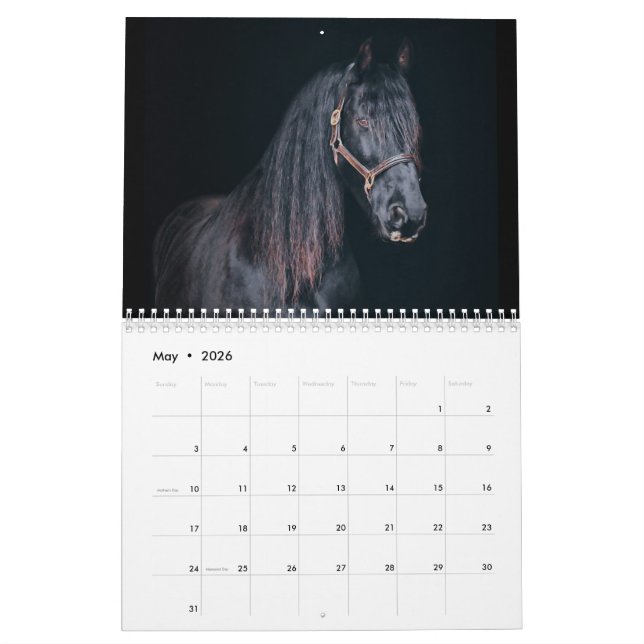 Calendario Caballos Stargazer Farm (May 2026)
