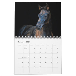 Calendario Caballos Stargazer Farm