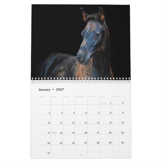 Calendario Caballos Stargazer Farm (Jan 2027)