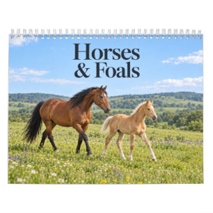 Calendario Caballos y Potros Paisaje Escénico Campestre