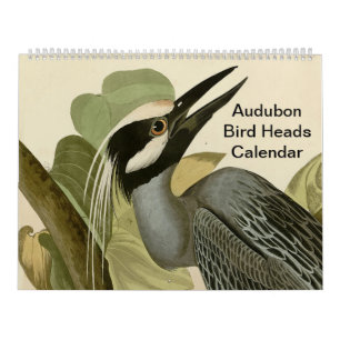 Calendario Cabezas de pájaro audubon