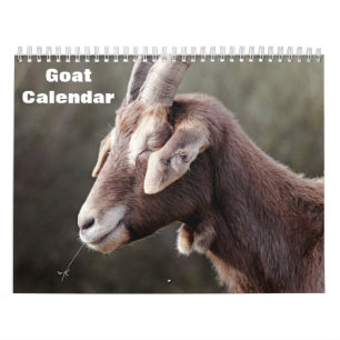 Calendario Cabra 2027