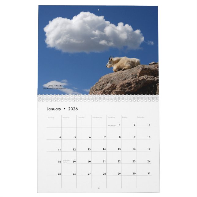 Calendario Cabras del Mt en Mt Evans, Colorado (Jan 2026)