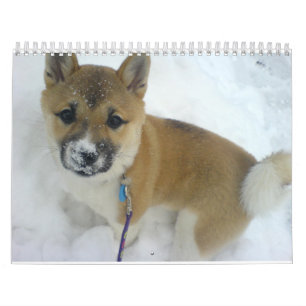 Calendario cachorro 3 shiba inu.png