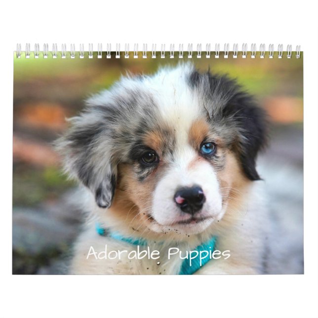 Calendario Cachorros Adorables 2026 Perro Lindo (Tapa)