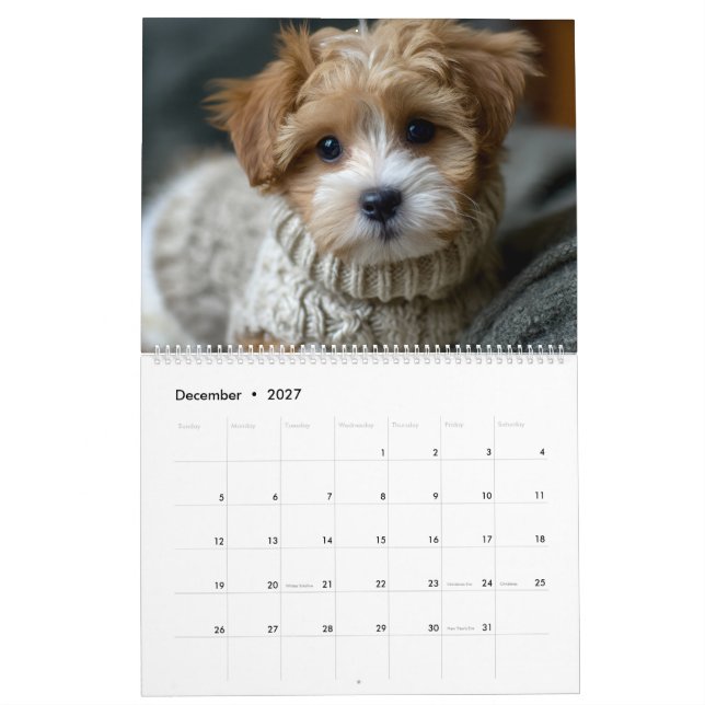 Calendario Cachorros con suéteres (Dec 2027)
