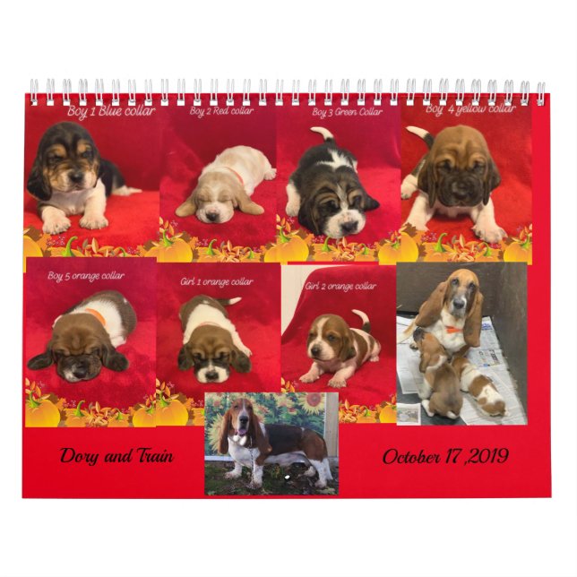 Calendario cachorros de hound (Tapa)