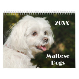 Calendario Cachorros y perros malteses