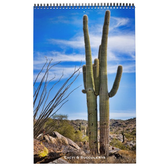 Calendario Cacti y suculentos (Tapa)