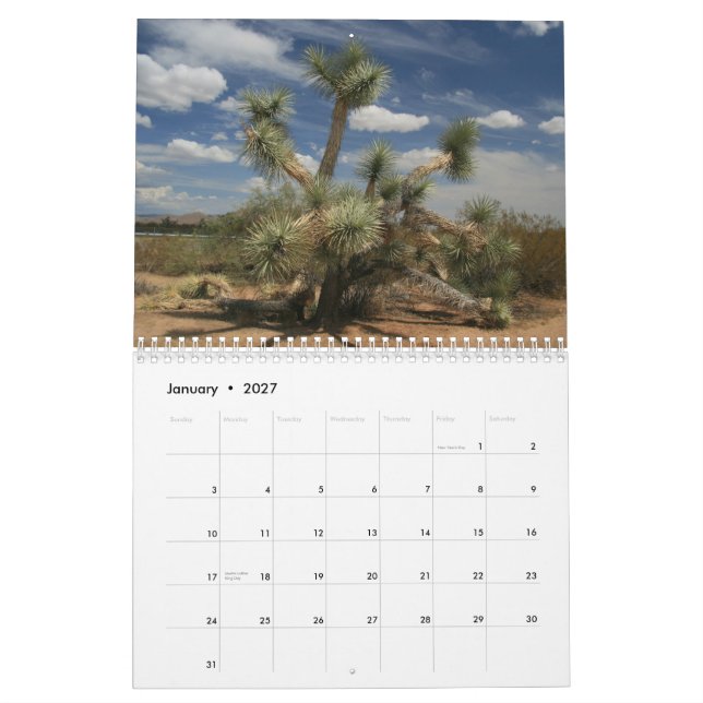 Calendario Cactus 2013 (Jan 2027)