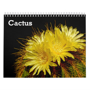Calendario Cactus 2025
