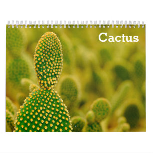 Calendario Cactus 2025