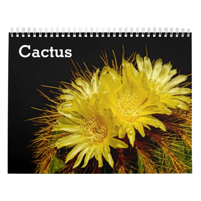 Calendario Cactus 2027 (Tapa)