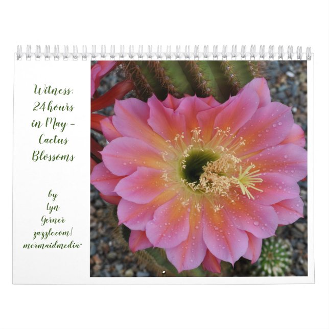 Calendario Cactus Blossoms Calendar (Tapa)