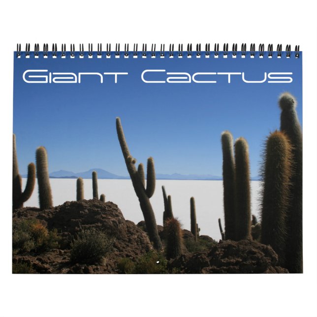 Calendario cactus gigante 2025 (Tapa)