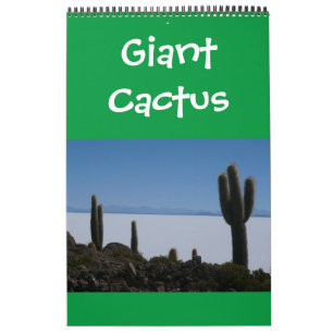 Calendario cactus gigantes