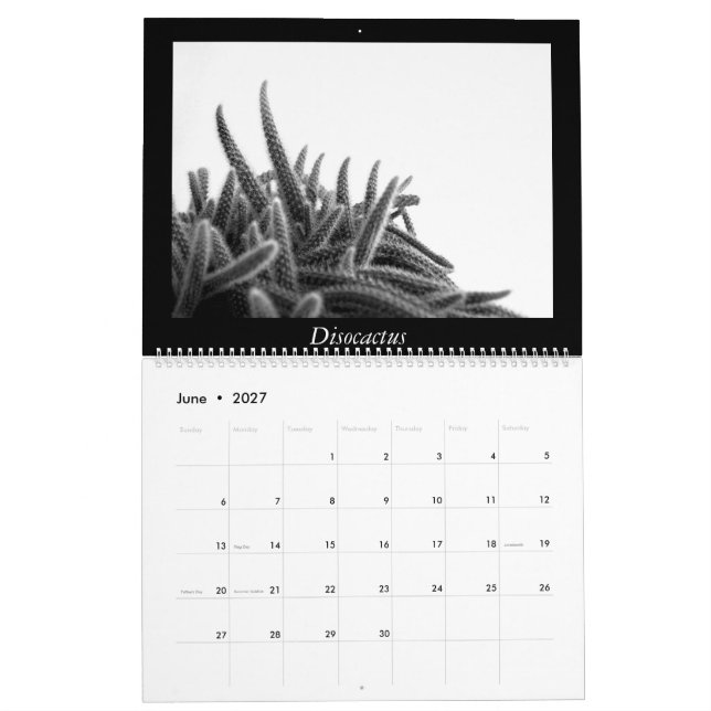 Calendario Cactus monocromáticos 2016 (Jun 2027)
