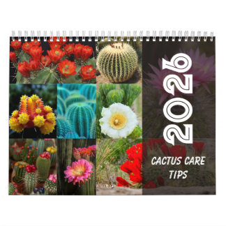 Calendario Cactus  Monthly Desert Plant Inspiration