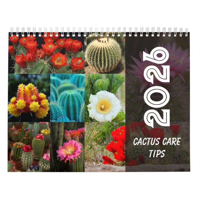 Calendario Cactus  Monthly Desert Plant Inspiration (Tapa)
