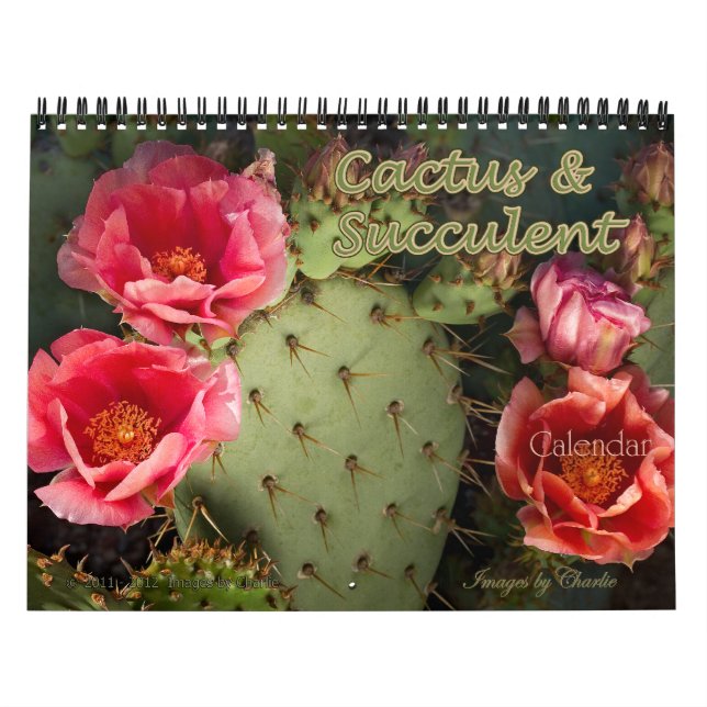 Calendario Cactus & Succulent Flower 2026 (versión original) (Tapa)