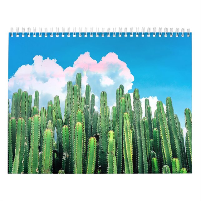 Calendario Cactus Summer (Tapa)