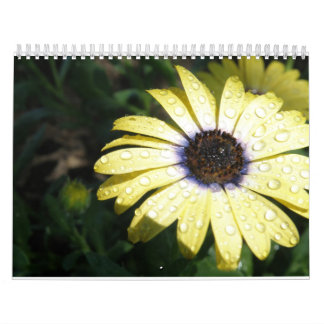 Calendario cada día es una nueva flor