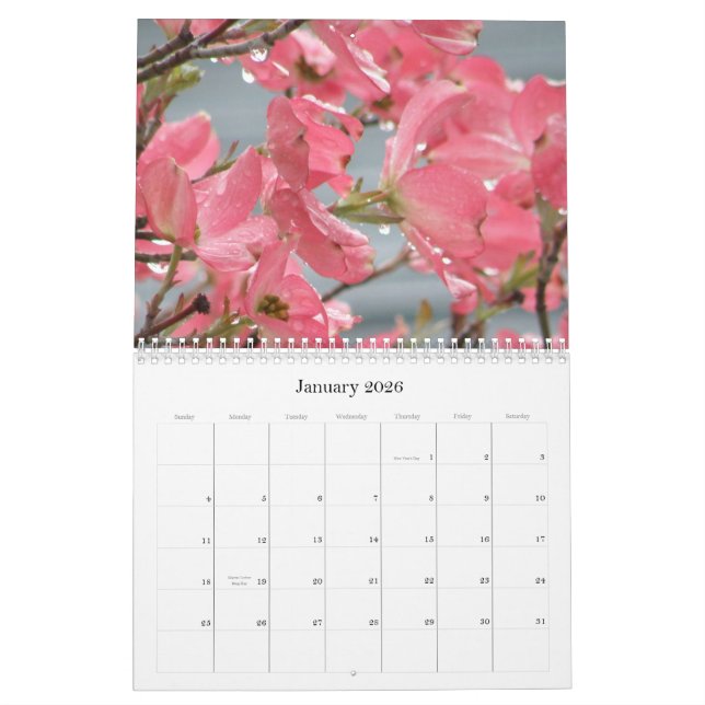 Calendario cada día es una nueva flor (Jan 2026)