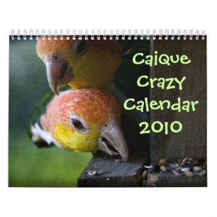 Calendario Caique 2010