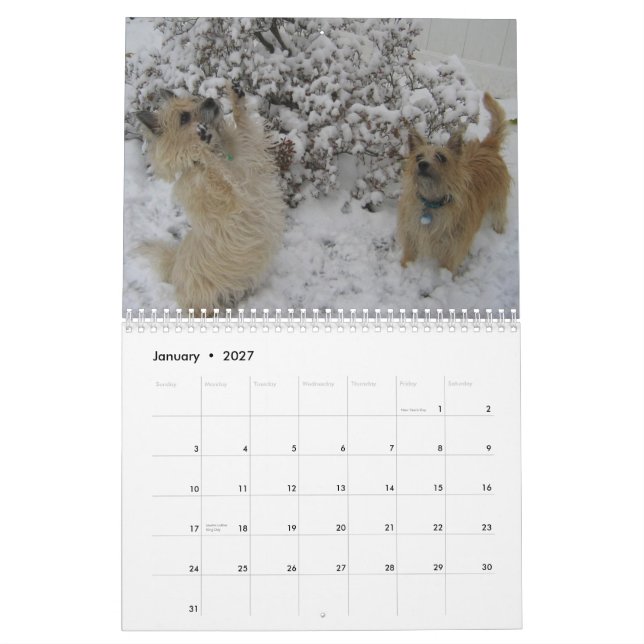 Calendario Cairn Terrier 2010 Calendar (Jan 2027)