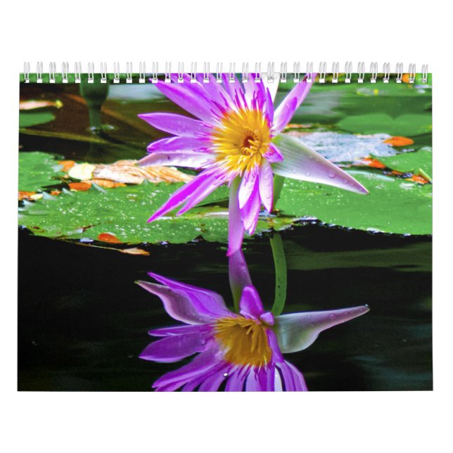 Calendario Calander de flores (Tapa)