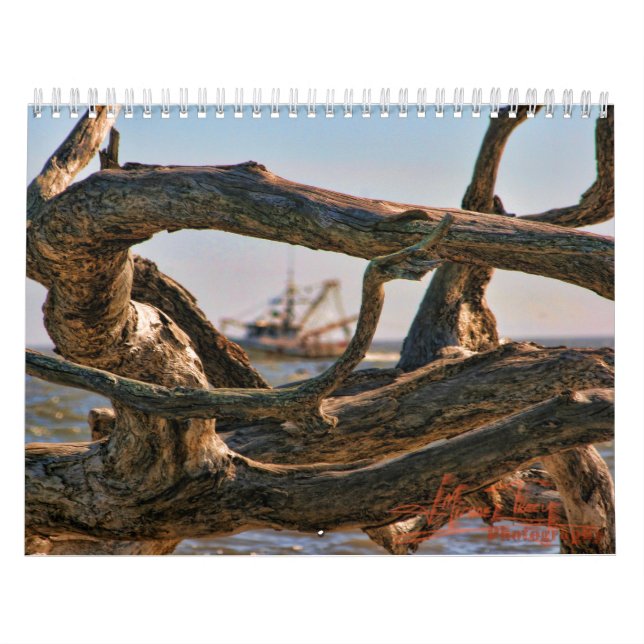 Calendario Calander de la playa del Driftwood (Tapa)