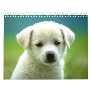 Calendario Calander del perro