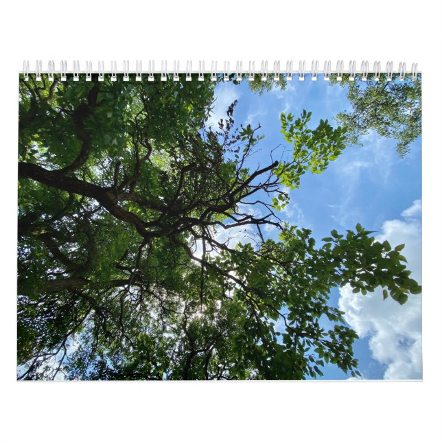 Calendario Calendar (Tapa)