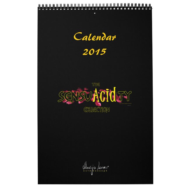 Calendario Calendar 2017 (Tapa)