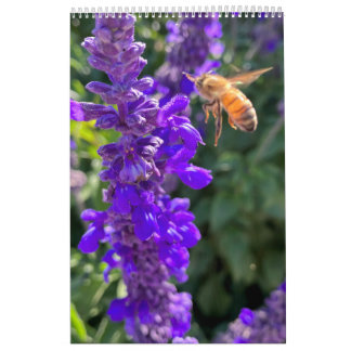 Calendario Calendar bees butterflys