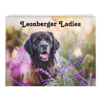 Calendario Calendar - Leonberger Ladies
