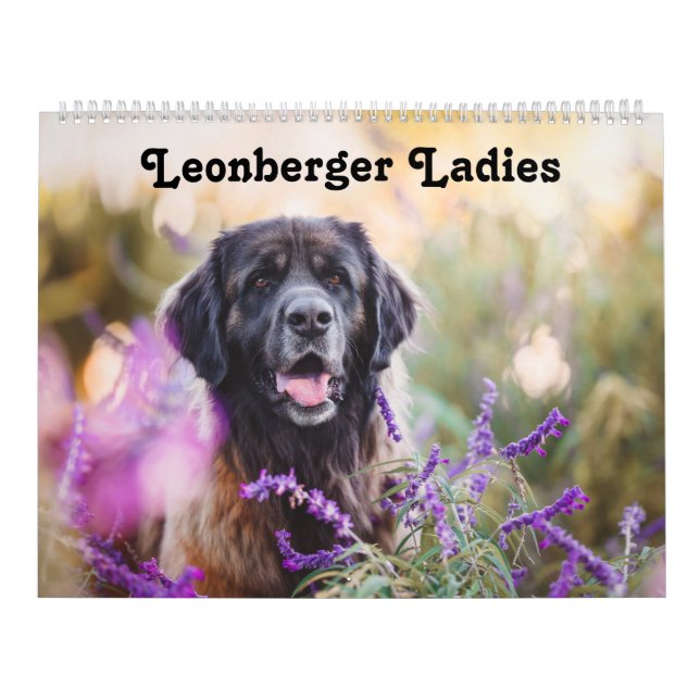 Calendario Calendar - Leonberger Ladies (Tapa)