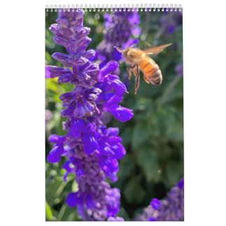 Calendario Calendar Pollinators: Bees and Butterflies
