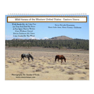 Calendario Calendar, Wild Horses, Eastern Sierra, California
