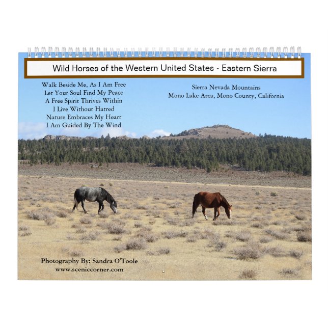 Calendario Calendar, Wild Horses, Eastern Sierra, California (Tapa)