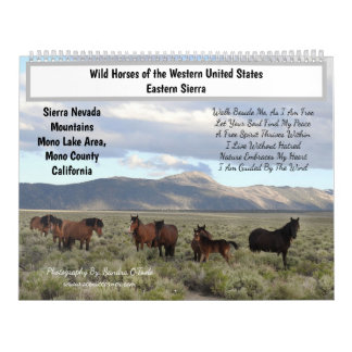 Calendario Calendar, Wild Horses, Eastern Sierra, California