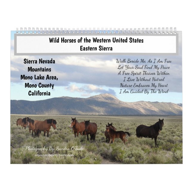 Calendario Calendar, Wild Horses, Eastern Sierra, California (Tapa)