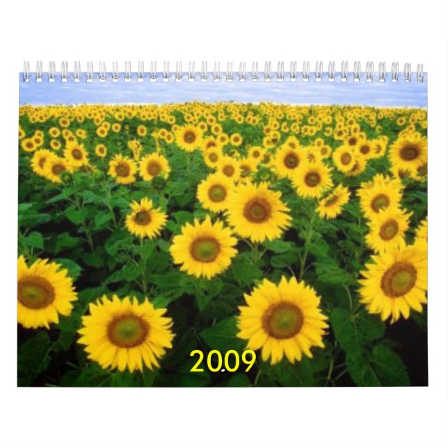Calendario Calendario, 2009 (Tapa)