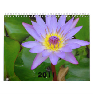 Calendario Calendario, 2011