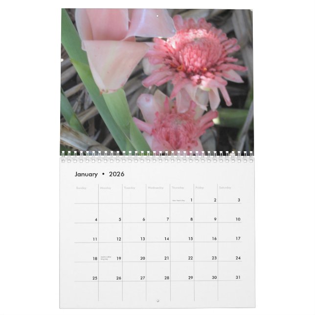 Calendario Calendario, 2011 (Jan 2026)