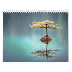 CALENDARIO CALENDARIO: ÁRBOL EN UNA ISLA