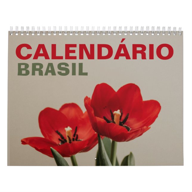 Calendario Calendário Brasil com Feriados | Brasil 2026 (Tapa)