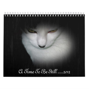 Calendario ¡Calendario de Shakira 2012!