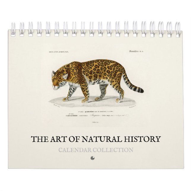 CALENDARIO CALENDARIO: EL ARTE DE LA HISTORIA NATURAL (Tapa)