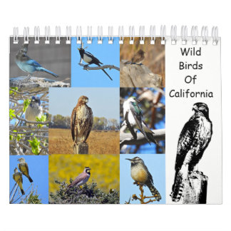 Calendario Calendario, fauna, pájaros salvajes de California